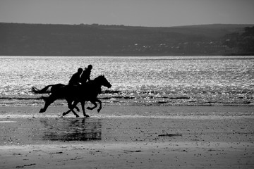 Galloping on beach