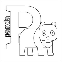 Coloring page or card for kids with English animals zoo alphabet. Panda, letter P vector illustration