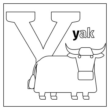 Coloring page or card for kids with English animals zoo alphabet. Yak, letter Y vector illustration