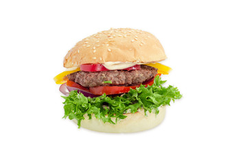 Traditional hamburger on a light background