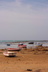 Fototapeta na wymiar Fischerboote in Cadiz