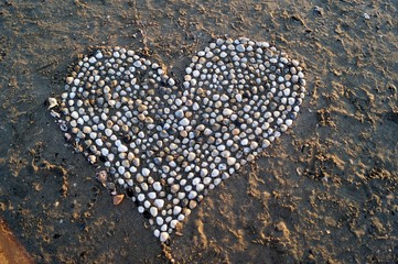 cuore di conchiglie