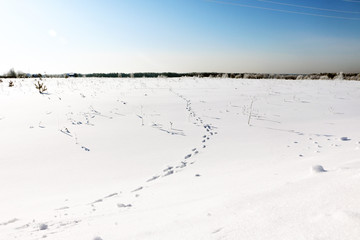 Field full of snow