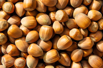 Hazelnut texture
