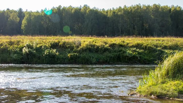 Timelapse of nature - forest and river
