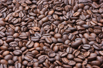 coffee beans