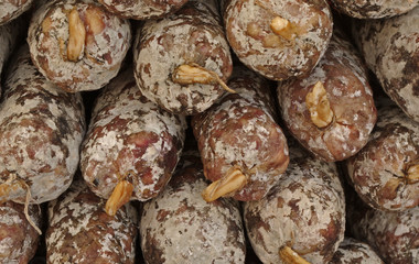 Stacked Salami displayed on a weekly market in France