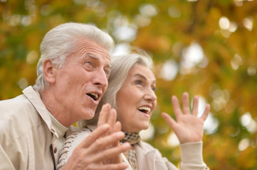 Surprised happy senior couple in the autumn park