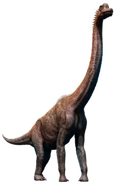 Brachiosaurus from the Jurassic era 3D illustration