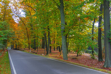 Obraz premium Herbst