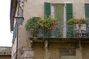 Fototapeta na wymiar flowers in windows