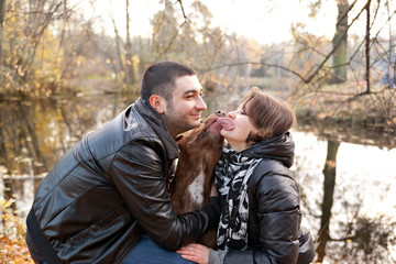 A couple in love and jealous American Pit Bull Terrier