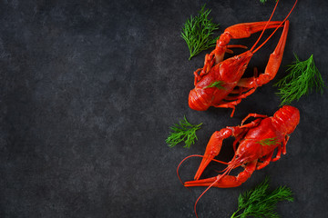 Fresh boiled crayfish with dill on a concrete background. Top vi