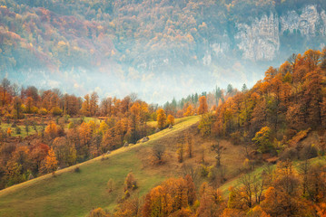 Fototapeta premium Autumn mountain / Amazing autumn view of a mountain meadow in the central Balkan Mountains, Bulgaria
