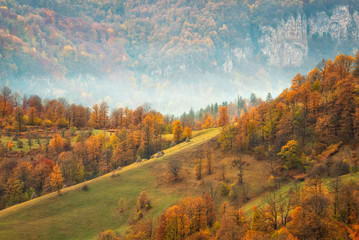 Naklejka na ściany i meble Autumn mountain / Amazing autumn view of a mountain meadow in the central Balkan Mountains, Bulgaria