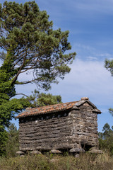 Fototapeta na wymiar Typical construction of Galicia, called granary, designed to keep the grain harvest