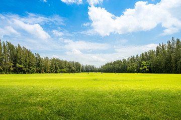Golf course