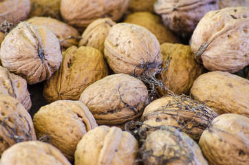crop harvested walnuts