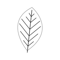 simple leaf icon image vector illustration design 
