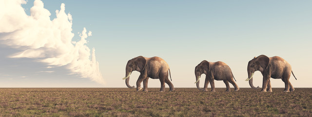 Elefanten © Michael Rosskothen