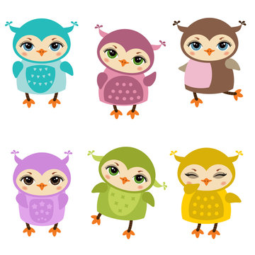Set of cute Owls.