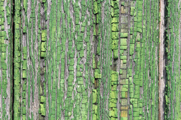 Old wooden painted wall from boards