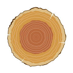 Vector illustration of round cut wood with growth rings. The cut