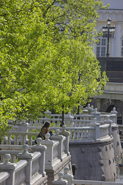 Woman Overlooking Wall W Tree