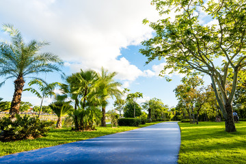 Fototapeta premium public park landscape