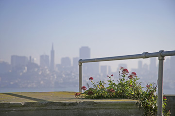 flowers city view
