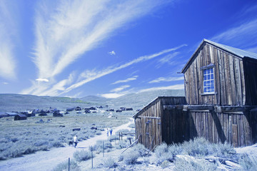 blue bodie