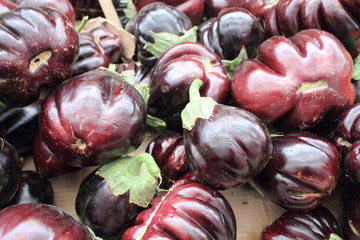 melanzane