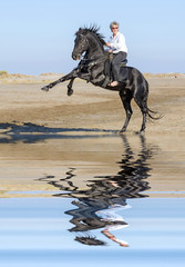 horsewoman and rearing stallion