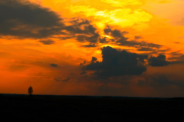 Sunset horizon silhoutte