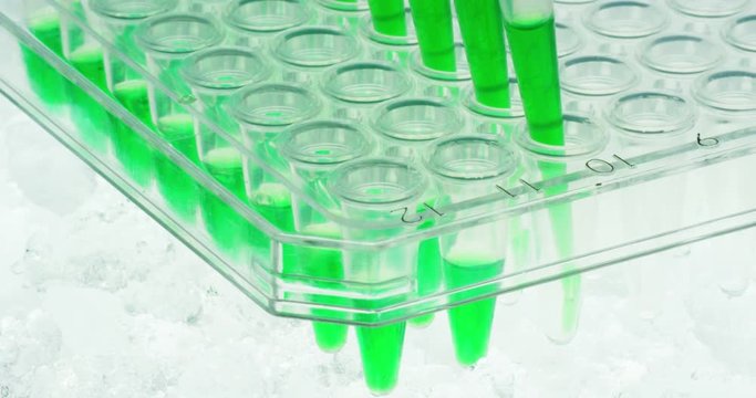 An experienced scientist analyzes the tubes in his laboratory with all the equipment to high technology professional, analyze products for pharmaceutical companies, for the welfare of the people and m