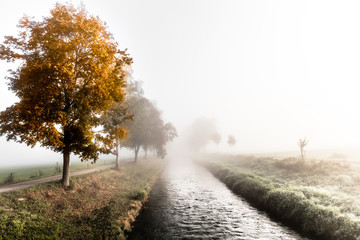 Herbst im Riet
