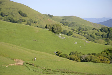 lucas valley hills