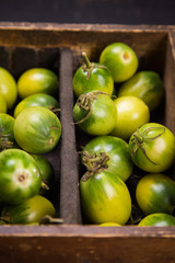 some green tomatoes