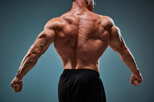 torso of attractive male body builder on gray background.