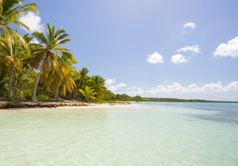Saona Island in Punta Cana, Dominican Republic