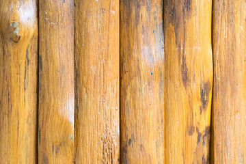 Brown striped log wood pattern