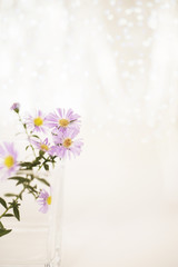 Fototapeta na wymiar Bright picture of a purple chrysanthemum branch in a glass vase on a white background with bokeh. Shades of white, teal, soft dreamy image. Selective focus