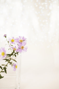 Bright picture of a purple chrysanthemum branch in a glass vase on a white background with bokeh. Shades of white, teal, soft dreamy image. Selective focus