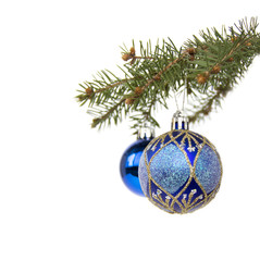 Christmas. Blue balls on fir branch, white background