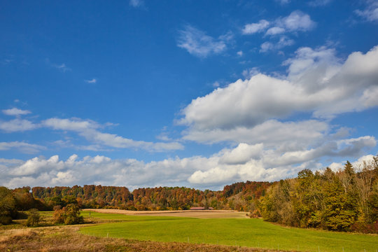 Beautiful autumn landscape with forest and blue sky
