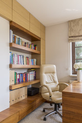 Leather chair and bookcase