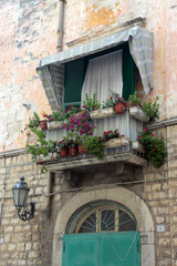 Fototapeta na wymiar plants on balcony