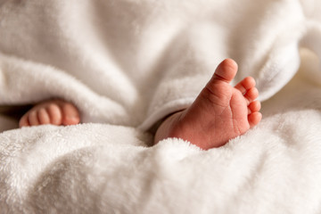Bare feet of a cute newborn baby in warm white blanket. Small bare feet of a little baby girl or boy. Sleeping newborn child.