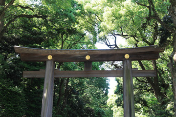 明治神宮　大鳥居