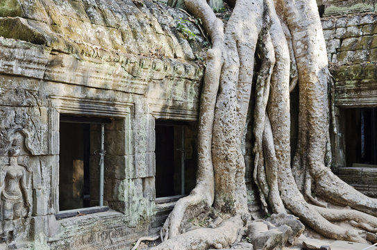 angkor wat famous landmark temple detail near siem reap cambodia